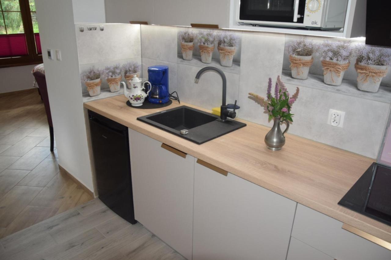 Ferienwohnung Avila , Stadtmitte Karpacz Exteriör bild